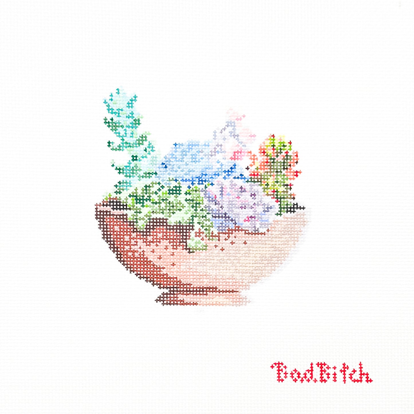 Succulent Garden