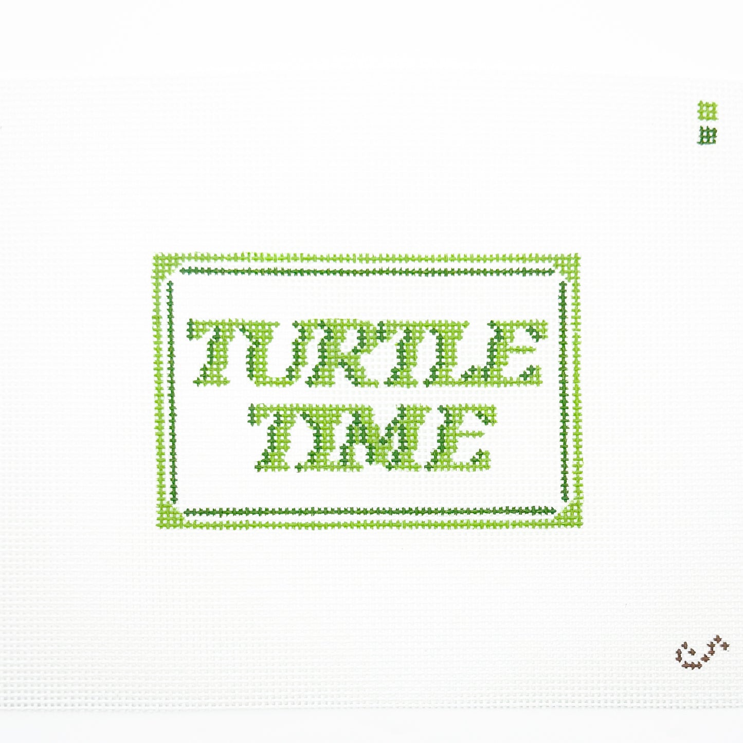 Turtle Time