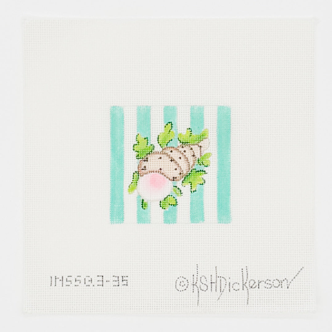 Seashell Insert