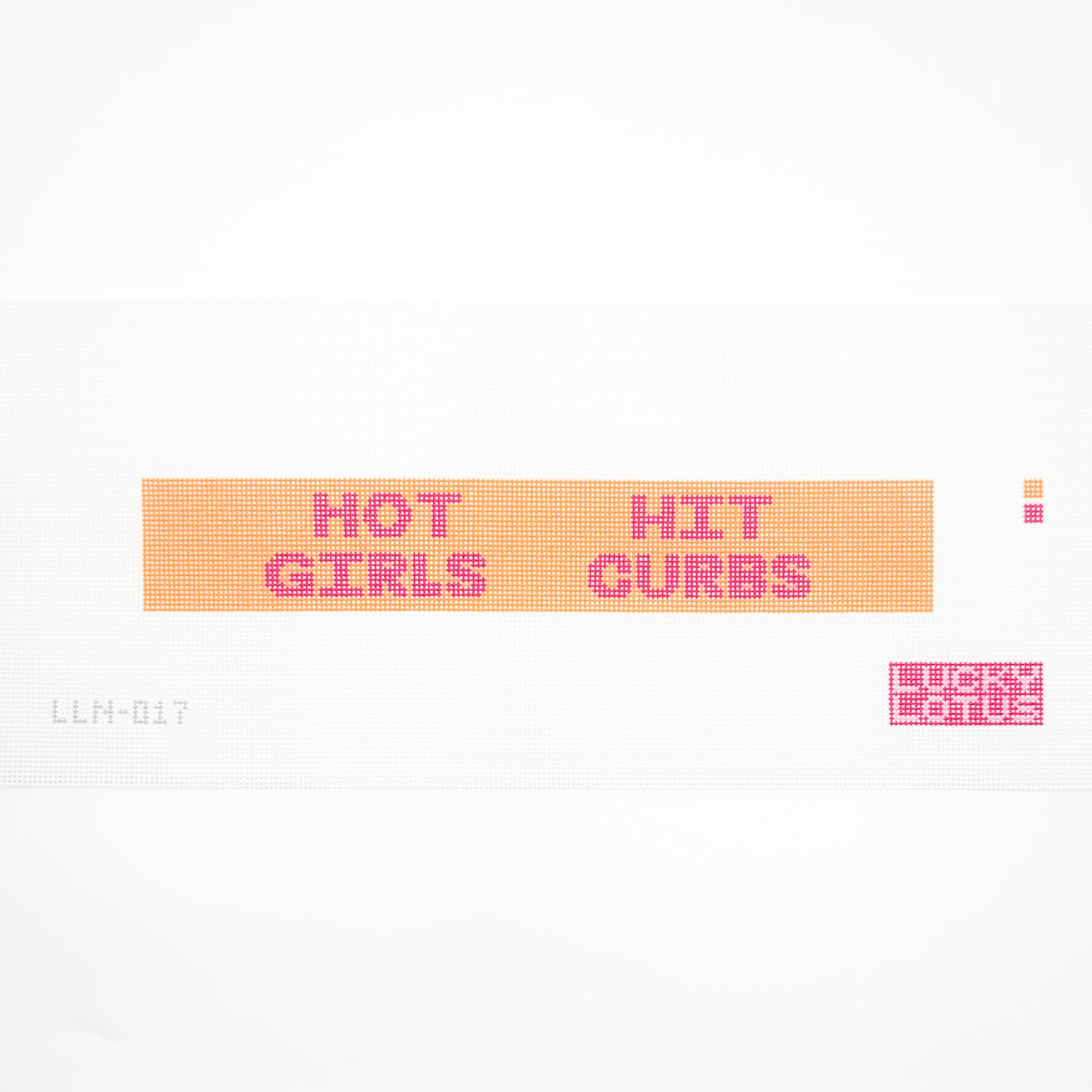 Hot Girls Hit Curbs Key Fob