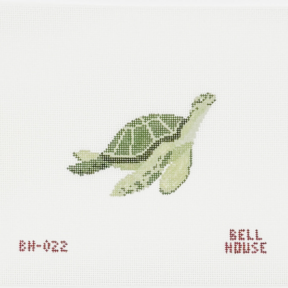 Sea Turtle