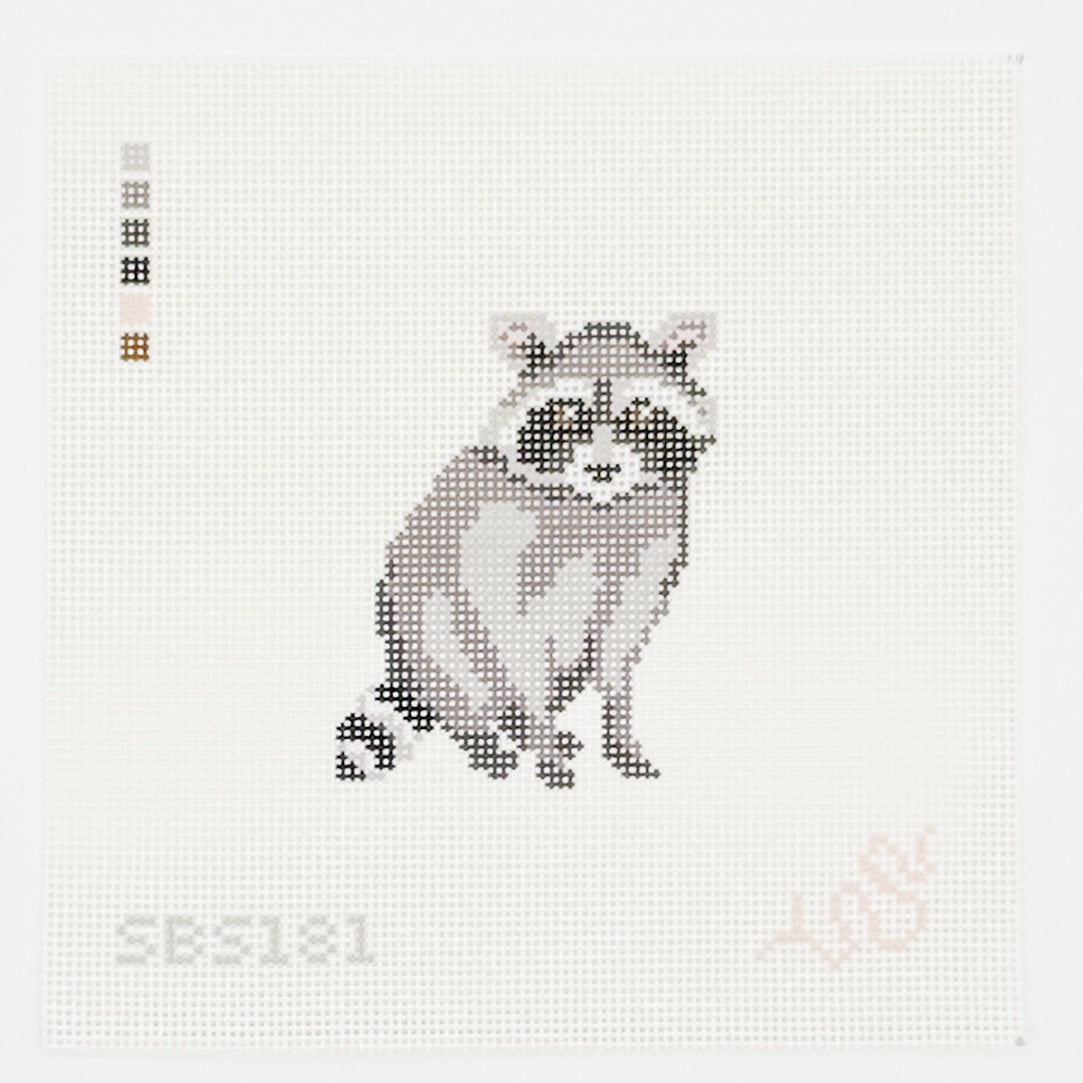 Baby Raccoon
