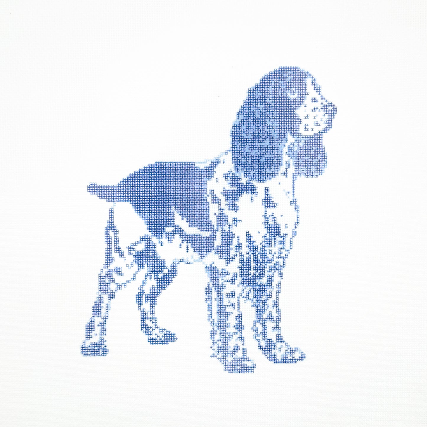 Springer Spaniel in Blue Toile