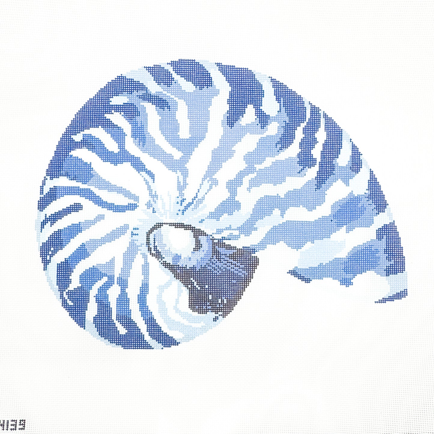 Nautilus Canvas - Blue