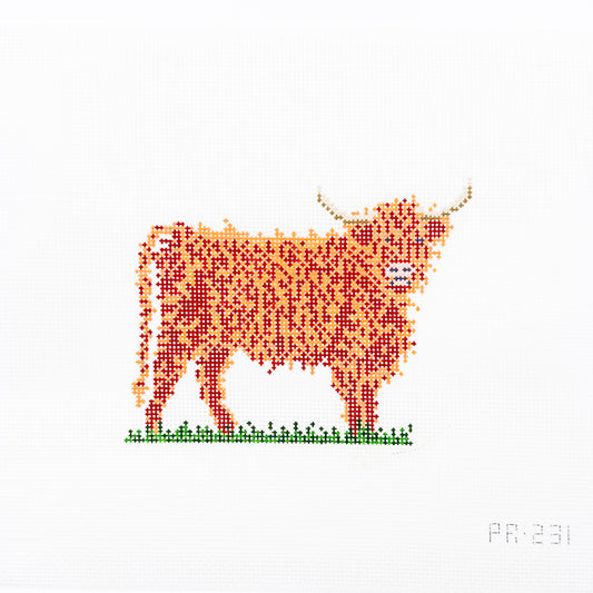 Highland Cow