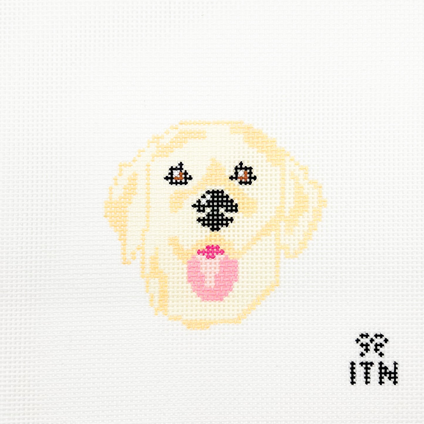 Golden Retriever Face