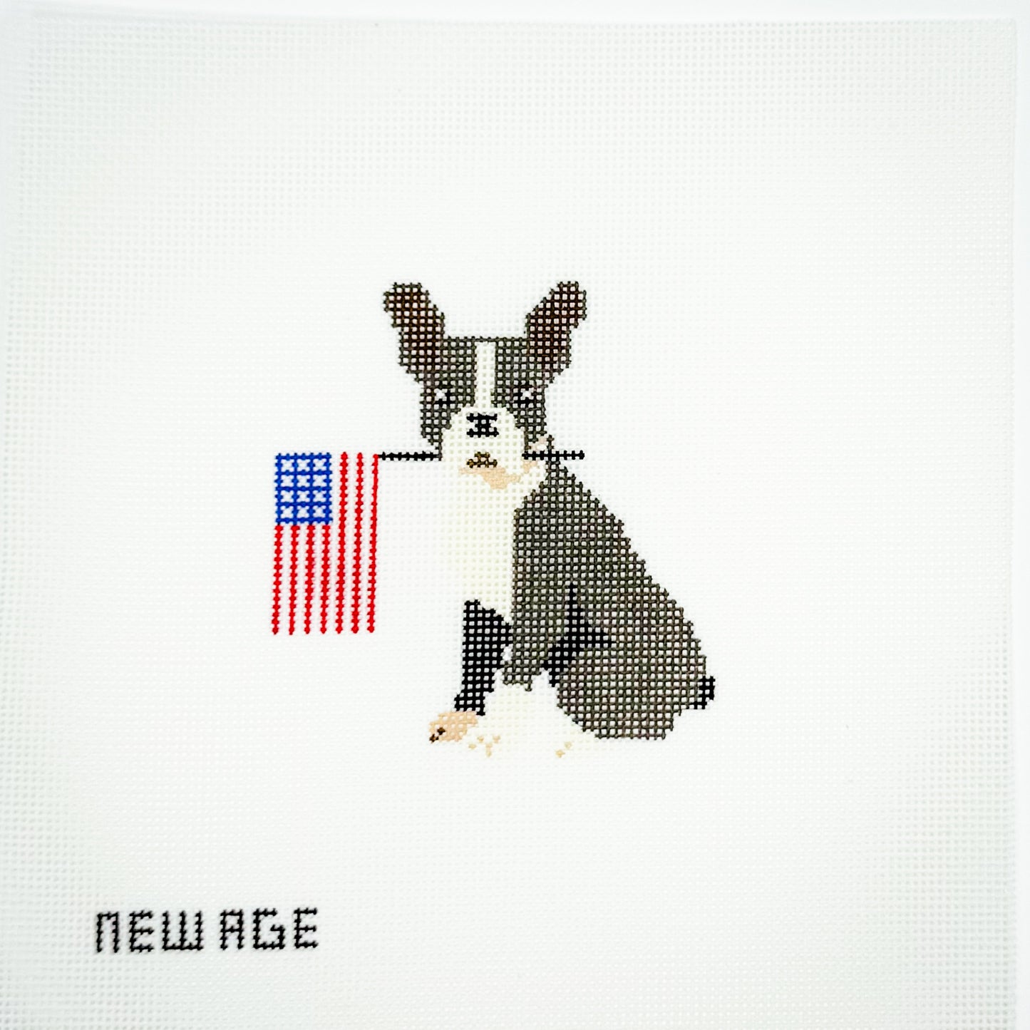 Boston Terrier with American Flag
