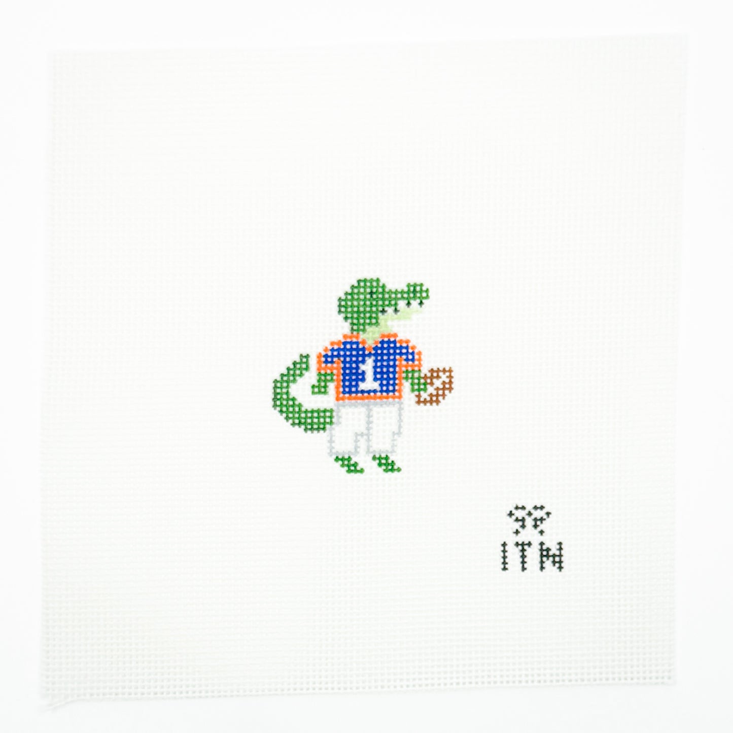 Football Friend Gator