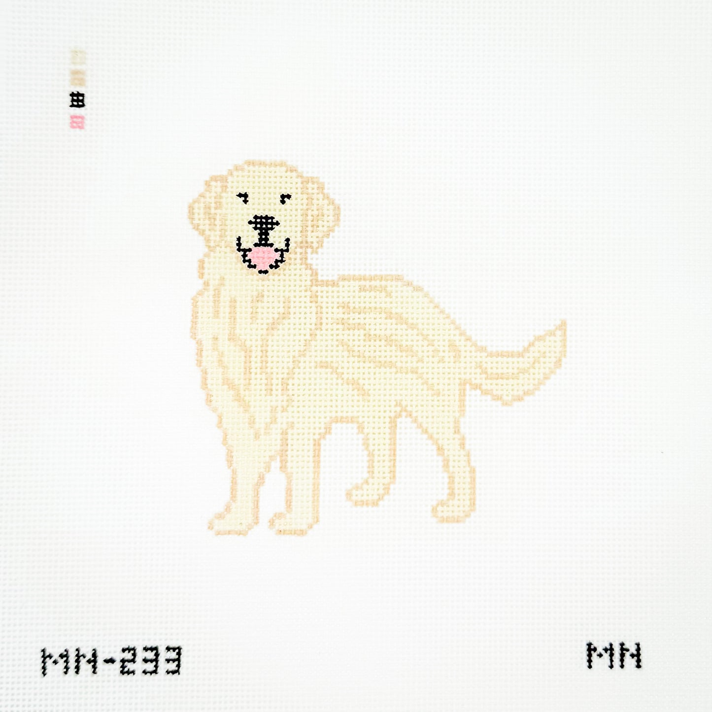 English Cream Golden Retriever