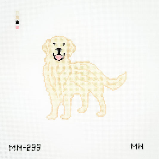 English Cream Golden Retriever