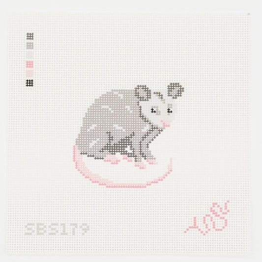 Baby Possum