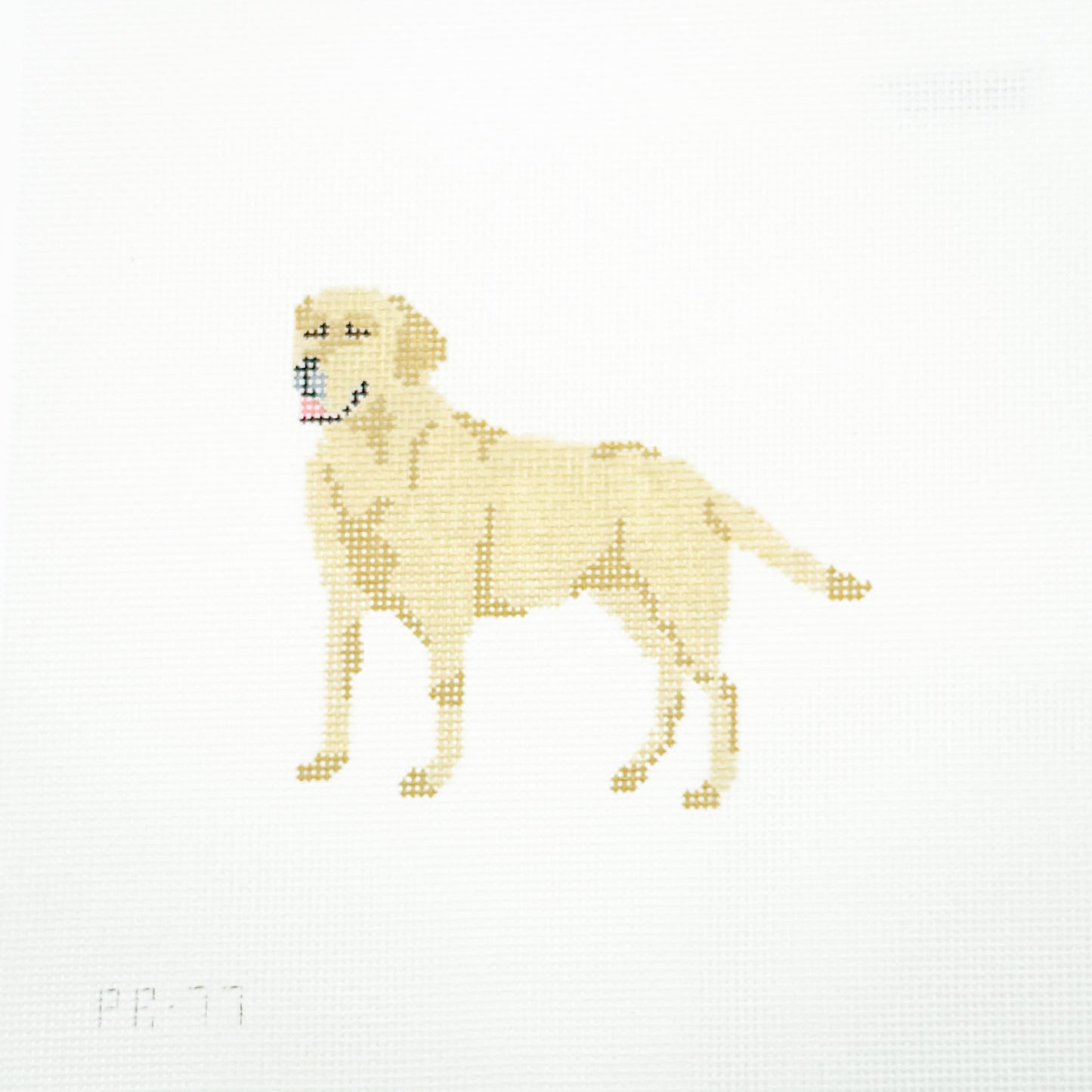 Yellow Lab
