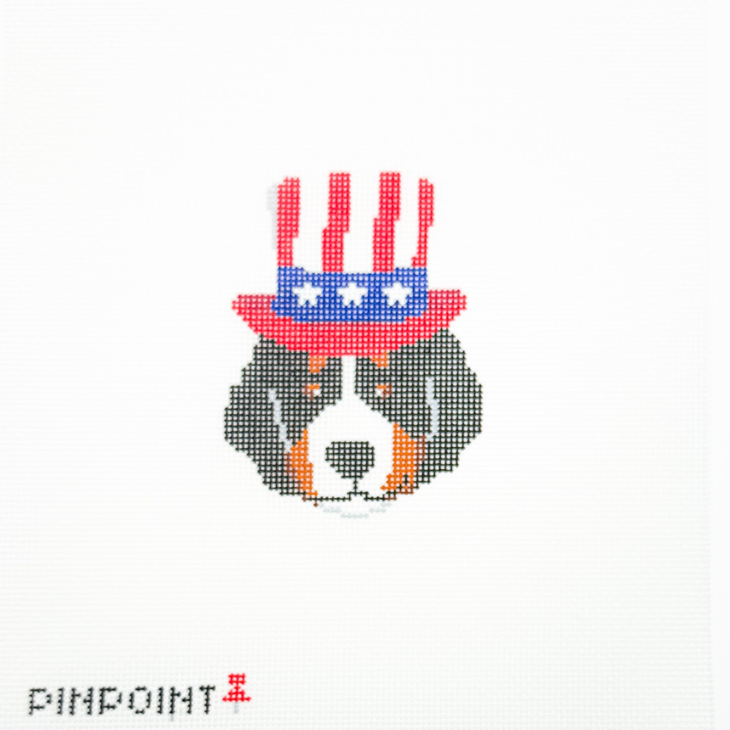Stars and Stripes - Bernie