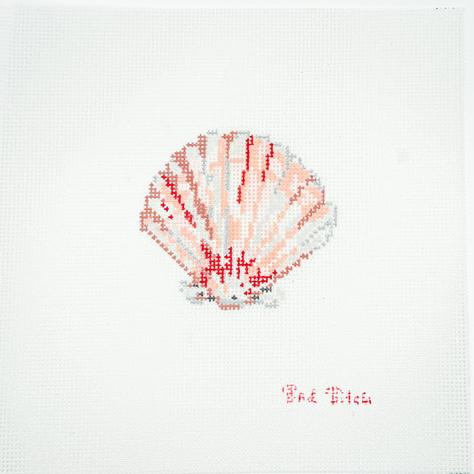 Summer 2026 Beachcomber Collection - Scallop Shell