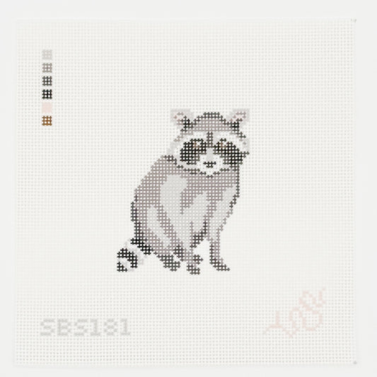 Baby Raccoon