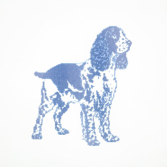 Springer Spaniel in Blue Toile