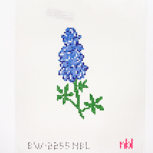 Bluebonnet