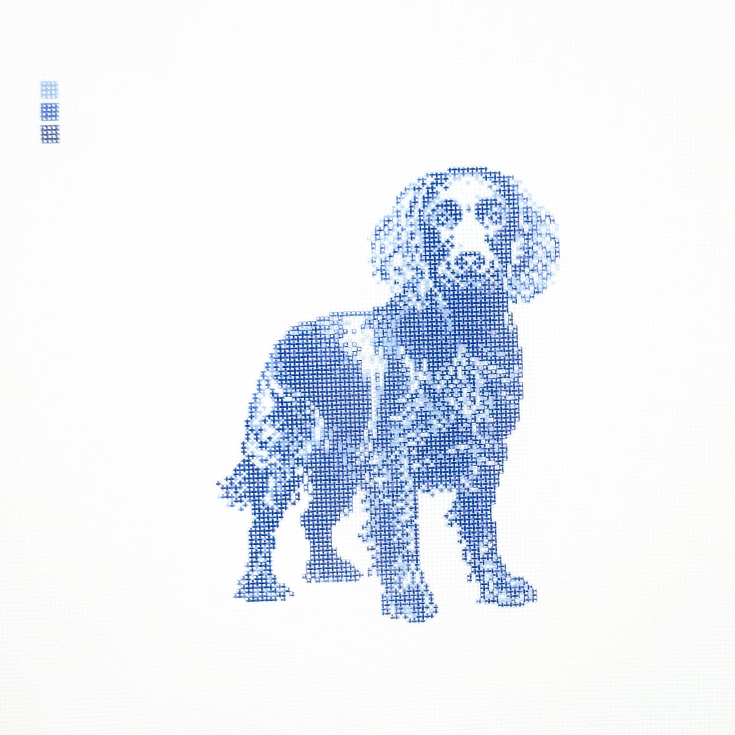 Boykin Spaniel in Blue Toile