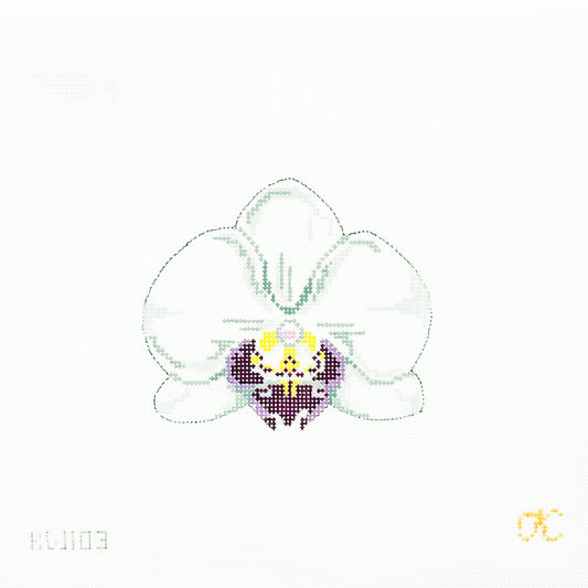 Single White Orchid