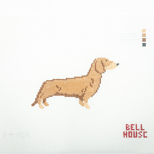 Dachshund - Red