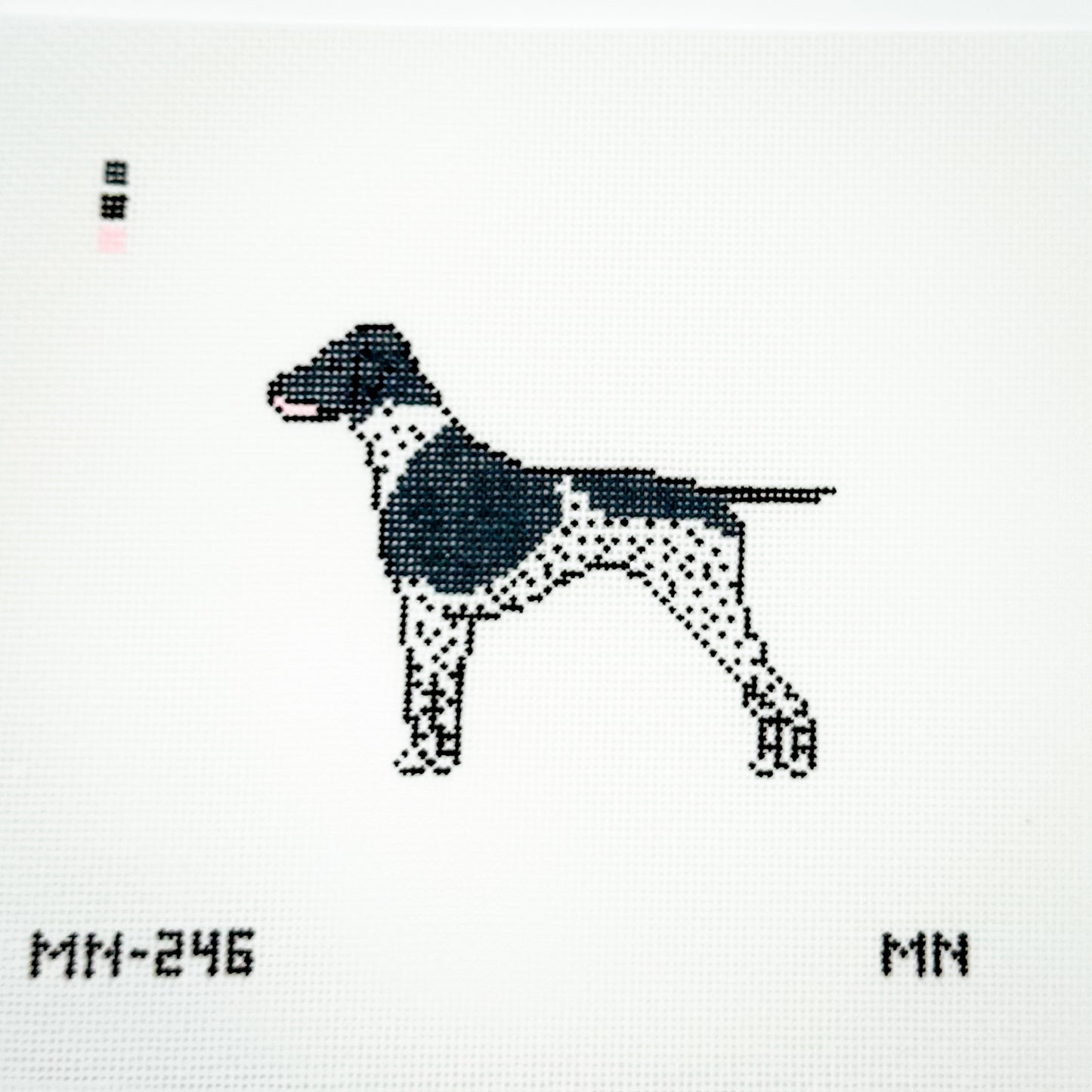 Black German Shorthaired Pointer (GSP)