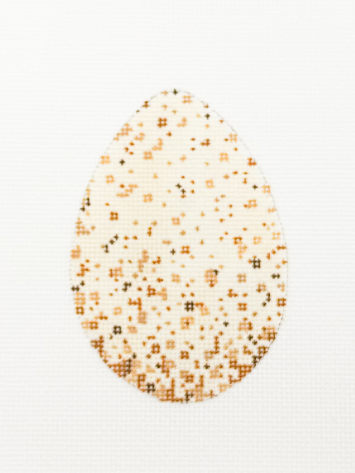 Wild Turkey Egg