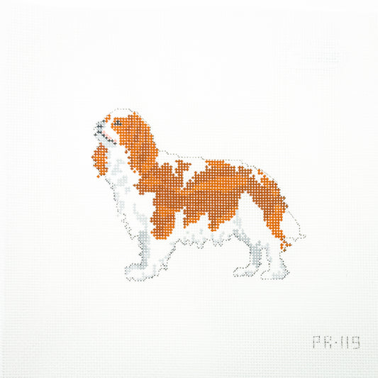 King Charles Spaniel