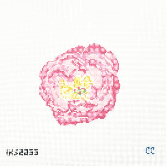 Pink Peony (small)